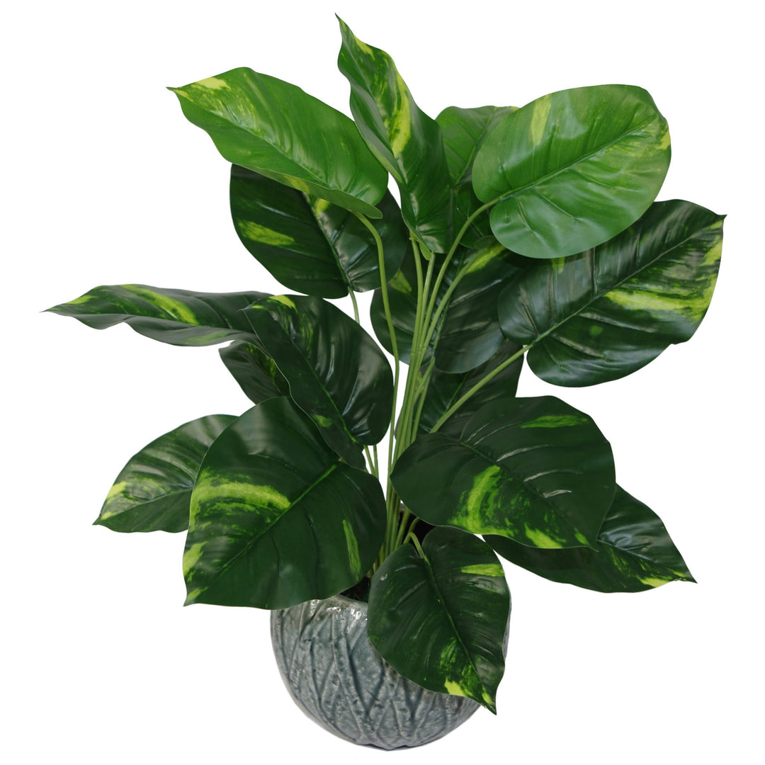 Leaf Design UK Kunstpflanze Teufels-Efeu Scindapsus Aureus, Kunststoff, 60 cm, Schwarz 60 cm 60 Cm T