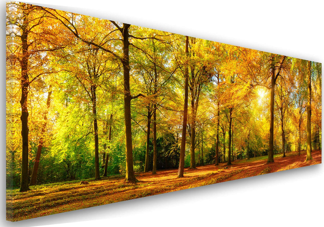 Feeby Bilder Wald Baum XXL100x40 cm 1Teilig Wohnzimmer Schlafzimmer Bilder Wandbilder Modern Leinwan