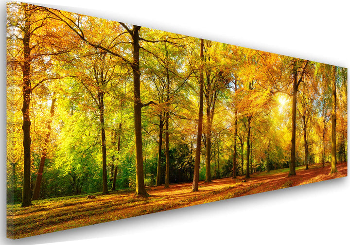 Feeby Bilder Wald Baum XXL100x40 cm 1Teilig Wohnzimmer Schlafzimmer Bilder Wandbilder Modern Leinwan
