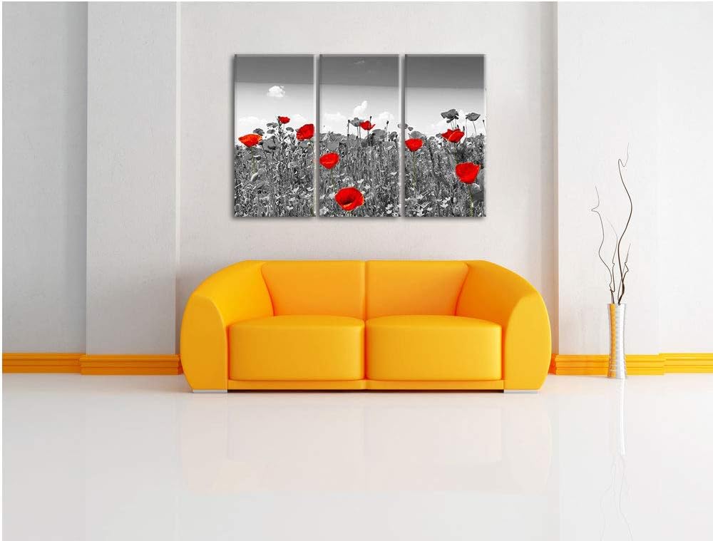 schöner rot leuchtender Mohn schwarz/weiss 3-Teiler Leinwandbild 120x80 Bild auf Leinwand, XXL riesi