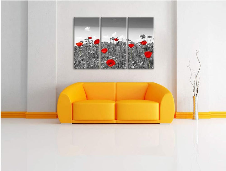 schöner rot leuchtender Mohn schwarz/weiss 3-Teiler Leinwandbild 120x80 Bild auf Leinwand, XXL riesi