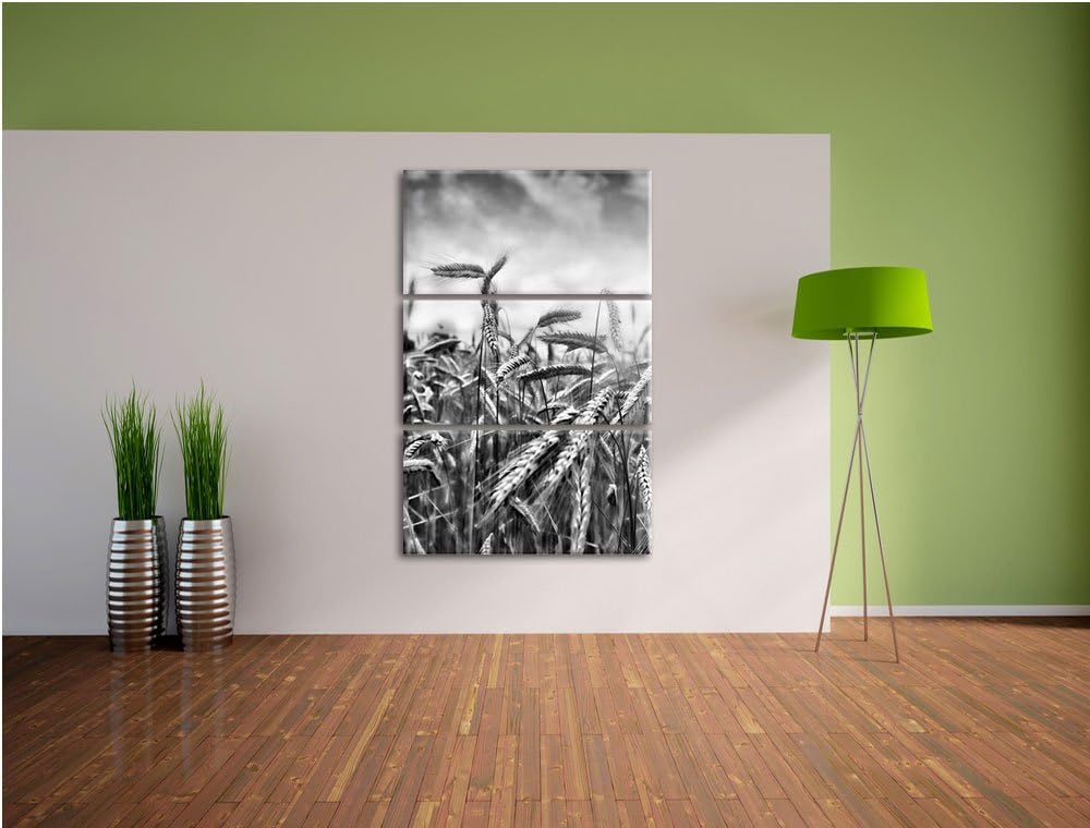 Pixxprint Getreide im Sonnenlicht als Leinwandbild/Grösse: 3 Teilig (120x80 cm) cm/Wandbild/Kunstdru