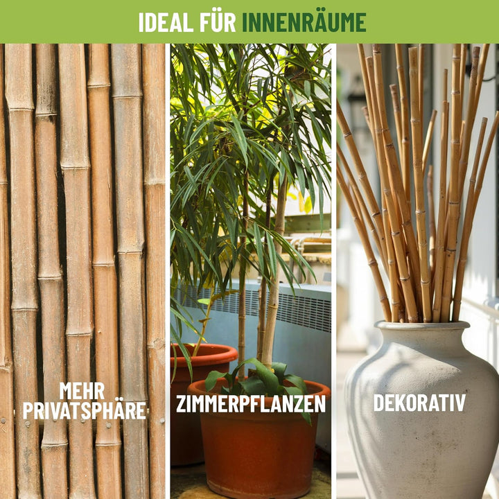 Control Garden Pack 30 Stück Bio Bambus Tutor 120 cm | Naturpfahl Zuckerrohr Pflanzenhalter Gartenst