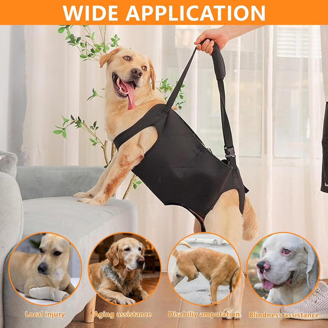 YOUNGSAY Tragehilfe Hund, Verstellbare Tragegurt Hund, Gross Hunde Tragehilfe für Behinderte, Blindh