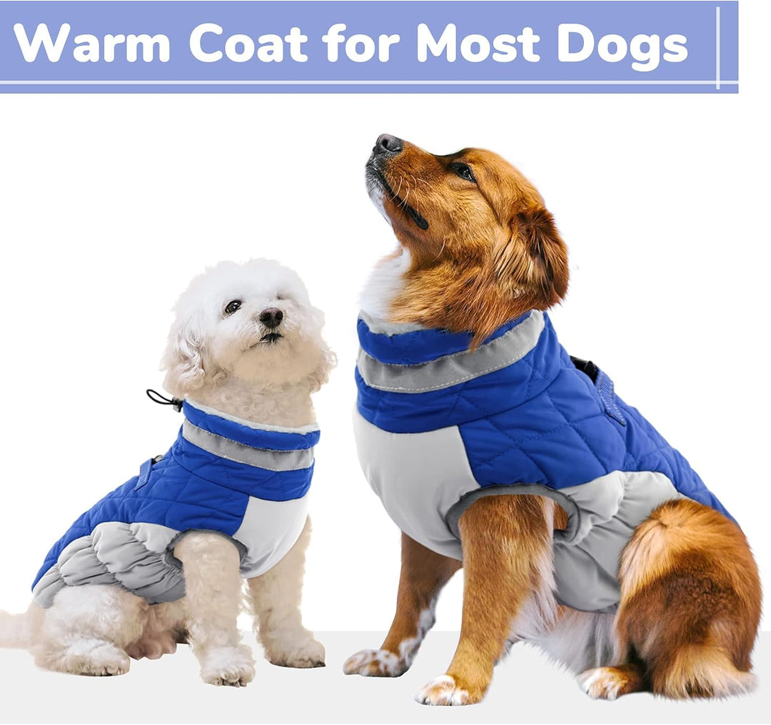 CITÉTOILE Hundemantel Winter,Hundejacke mit Geschirr, Wasserdicht Hundemantel mit Fleece Gefütterte