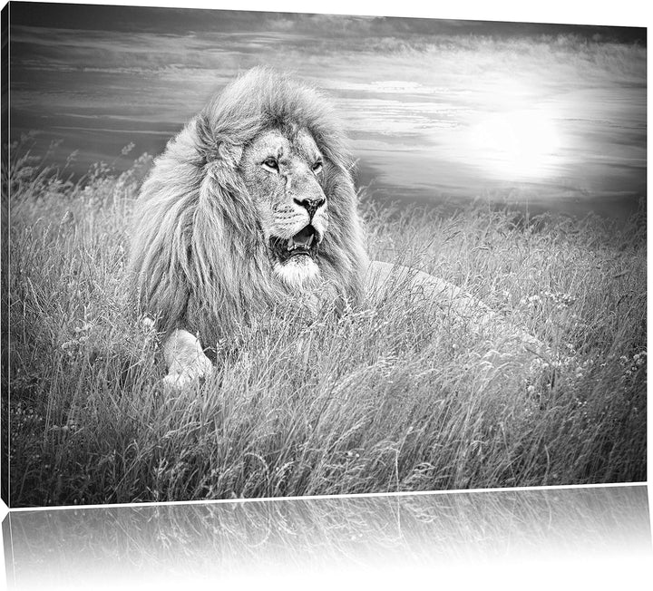 mächtiger Löwe Kunst B&W, Format: 100x70 auf Leinwand, XXL riesige Bilder fertig gerahmt mit Keilrah