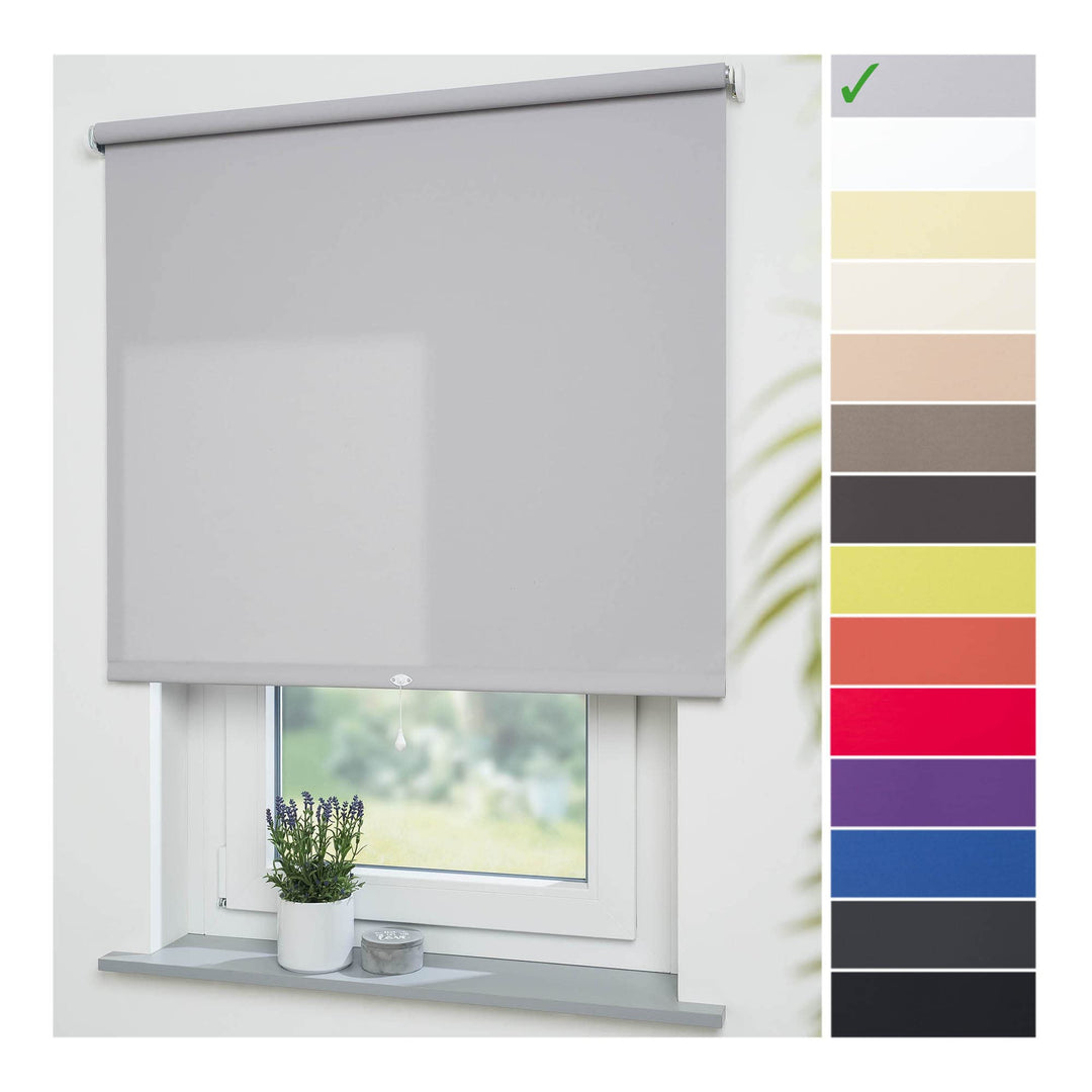 Liedeco® Rollo, Spring-, Schnapprollo / 62 x 180 cm (Breite x Höhe), hellgrau/lichtdurchlässig, Blic