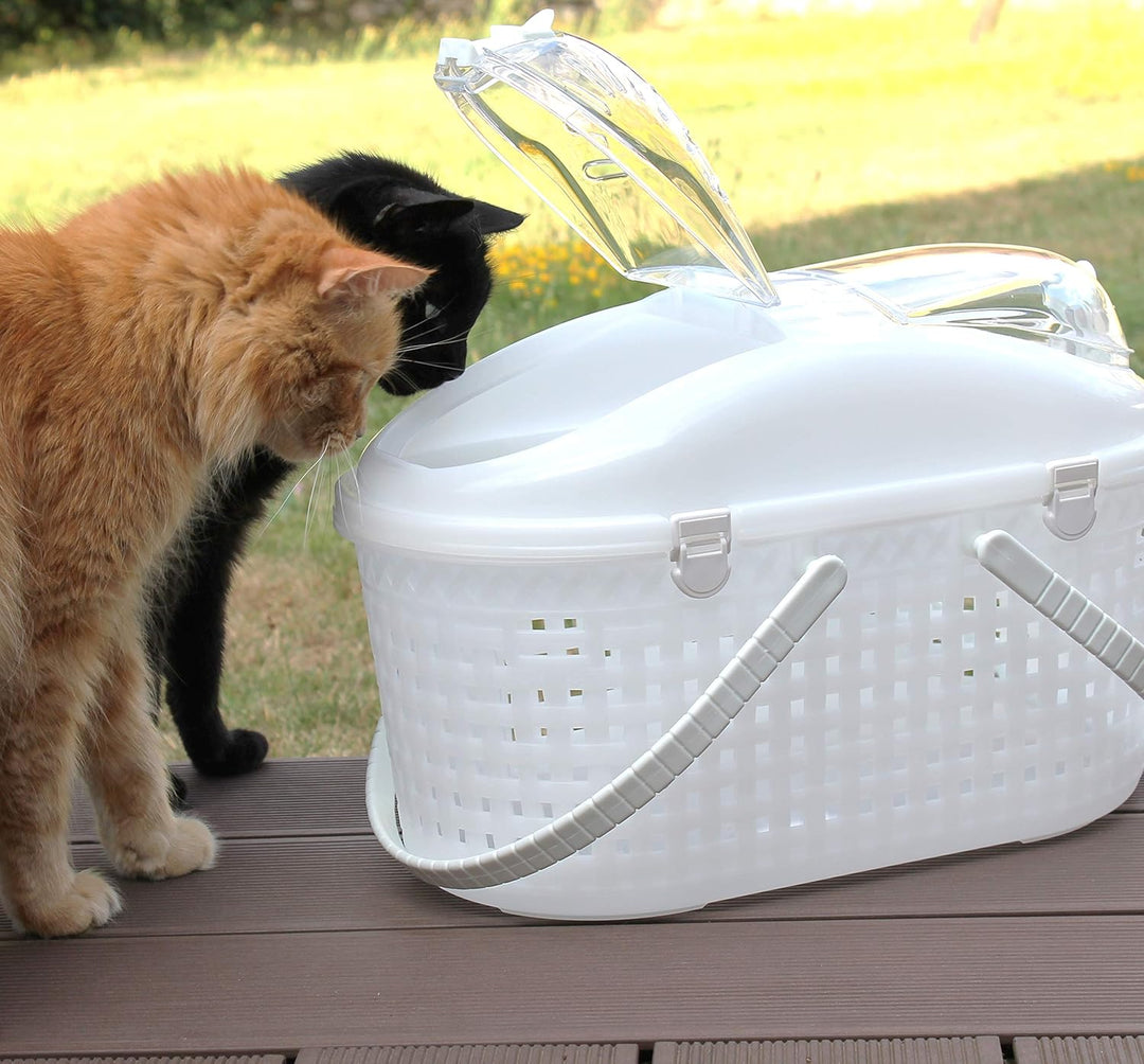 Iris Ohyama, Korb, Box, Tasche, Transportkäfig aus Kunststoff (PP) für Katze, Hund, 45 x T29 x H28.5
