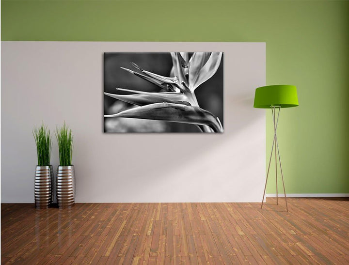 Pixxprint Tropische Blume / 100x70cm Leinwandbild bespannt auf Holzrahmen/Wandbild Kunstdruck Dekora