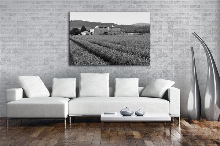 deyoli beeindruckendes Lavendelfeld in Frankreich Effekt: Schwarz/Weiss Format: 80x60 als Leinwandbi