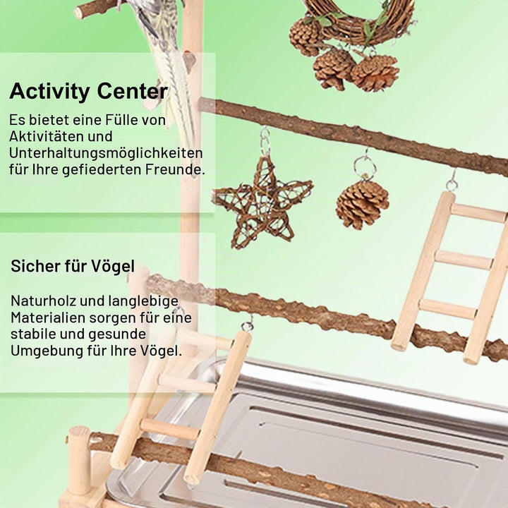 Vogelspielplatz Wellensittich Spielplatz Spielzeug, Grosser vogel Spielplatz mit Schaukel Sitzstange