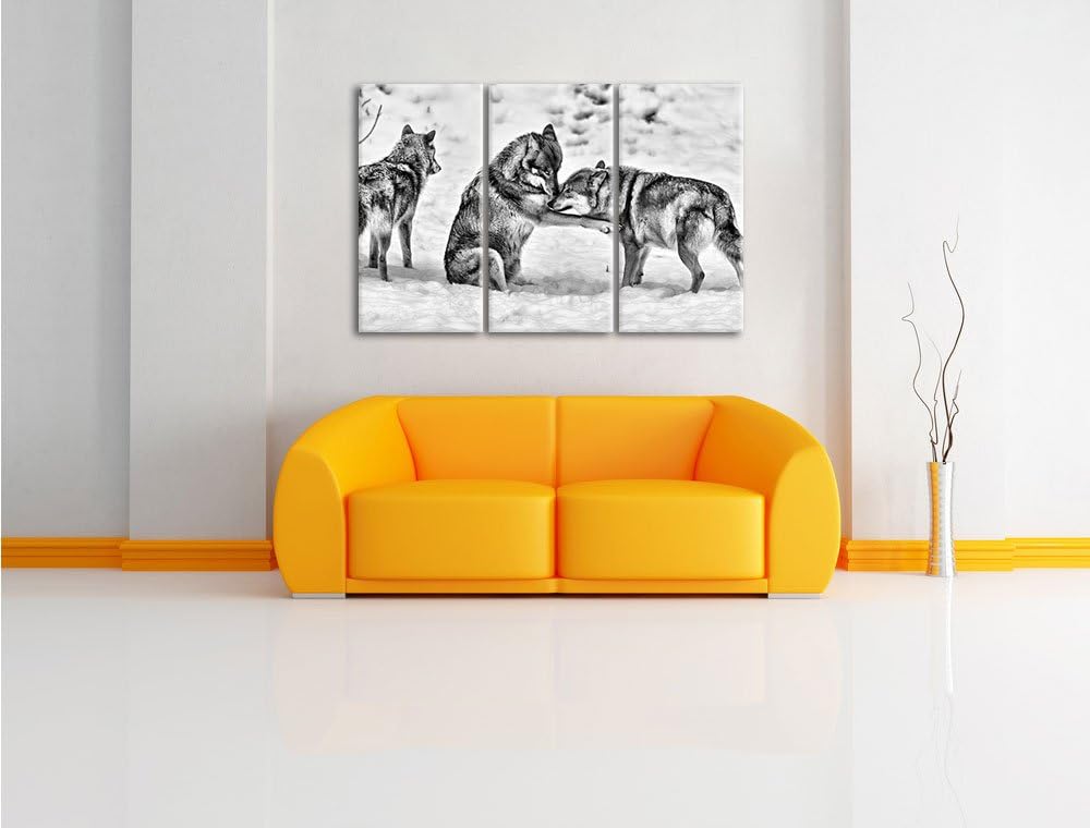 Pixxprint Monocrome, spielendes Wolfsrudel 3-Teiler Leinwandbild 120x80 Bild auf Leinwand