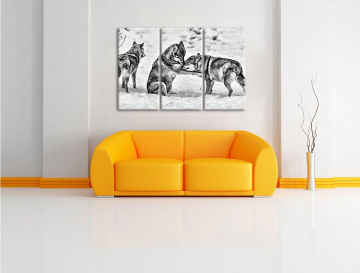 Pixxprint Monocrome, spielendes Wolfsrudel 3-Teiler Leinwandbild 120x80 Bild auf Leinwand