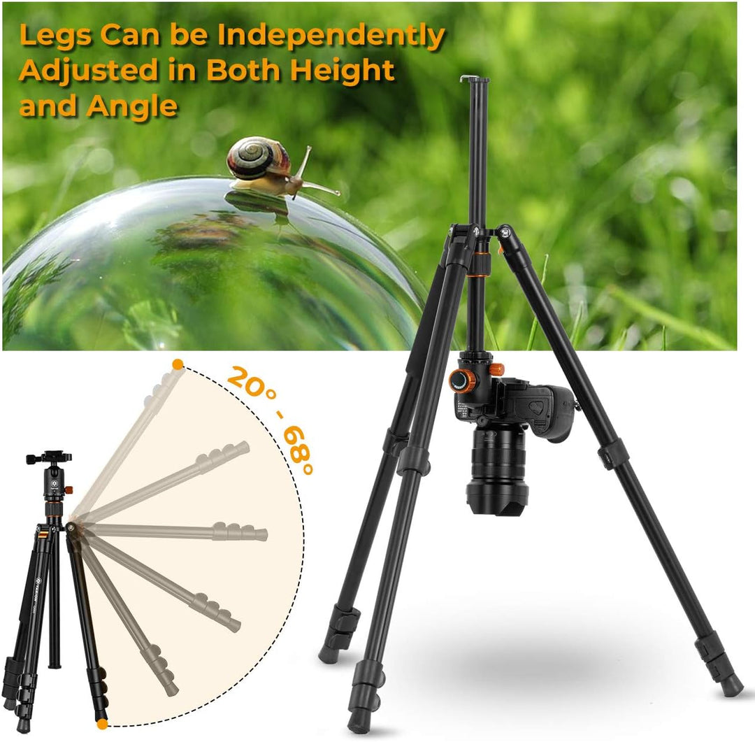TARION Kamera Stativ Aluminium Fotostativ Reisestativ mit 360° Kugelkopf und Schnellwechselplatte 15
