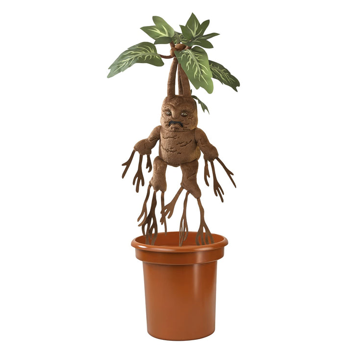 Die Edle Kollektion Mandrake Elektronische Interaktive