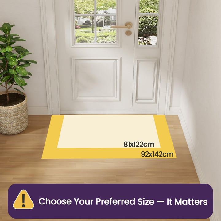 DEXI Schmutzfangmatte Innen 81 x 122 cm, rutschfest Fussmatte waschbar, absorbierend Fussmatte, Dünn