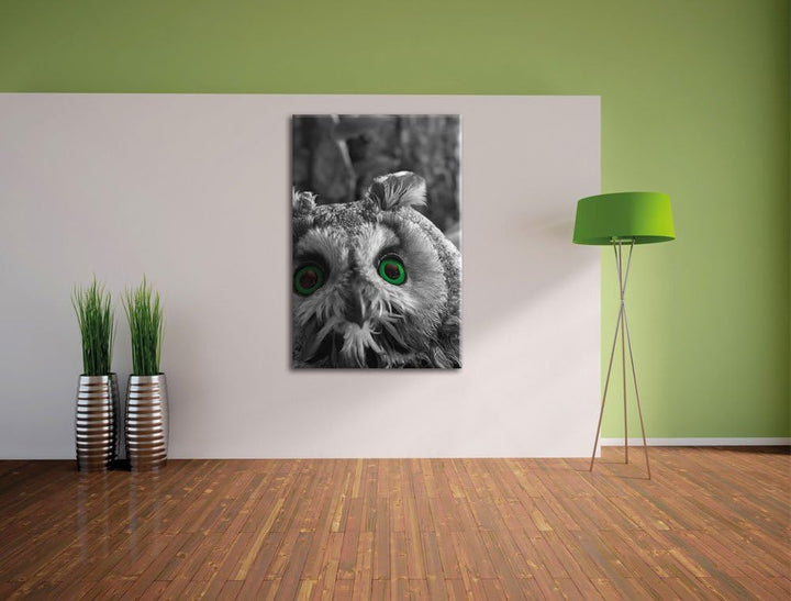 Pixxprint Niedliche Eule mit Grünen Augen als Leinwandbild/Grösse: 120x80 cm/Wandbild/Kunstdruck/fer