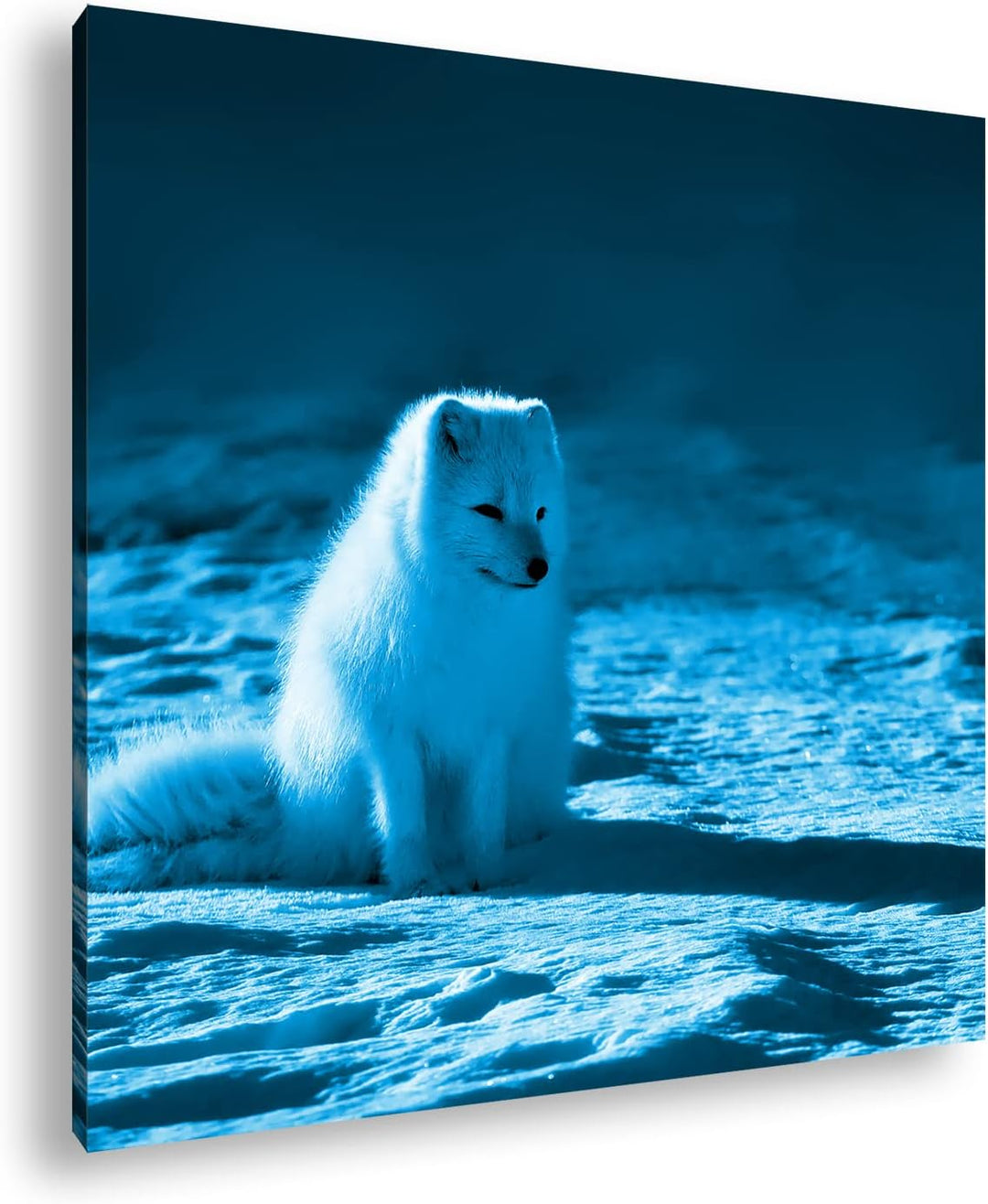 deyoli Arktischer Polarfuchs Format: 70x70 Effekt: Zeichnung als Leinwandbild, Motiv auf Echtholzrah