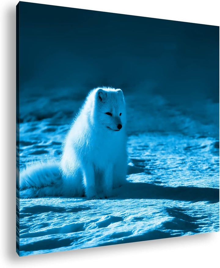 deyoli Arktischer Polarfuchs Format: 70x70 Effekt: Zeichnung als Leinwandbild, Motiv auf Echtholzrah