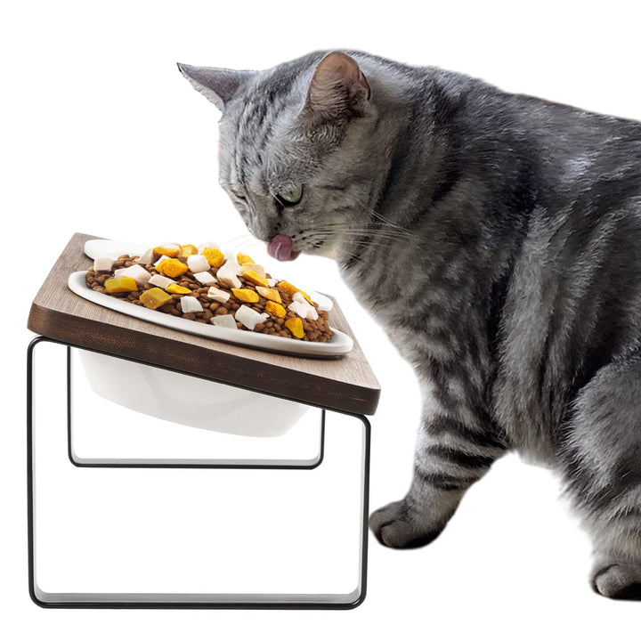 GUUSII HOME Futterstation Katzen Erhöht Katzen Fressnapf Katze Erhöht Ergonomischer Katzennapf Erhöh