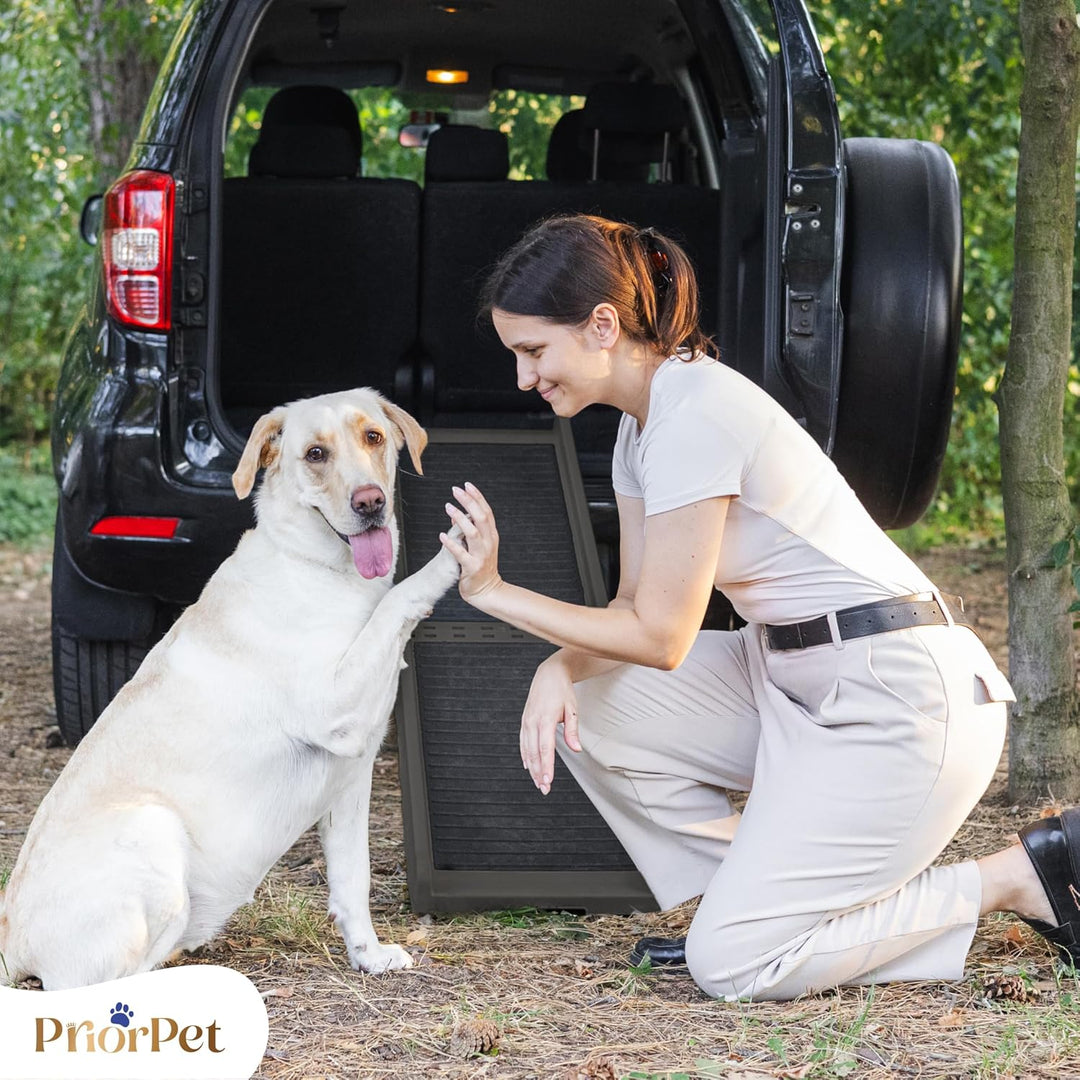 Hunderampe Auto Klappbar – 174 cm Lang & 38 cm Breit – rutschfeste Gummi Rampe für grosse Hunde – St
