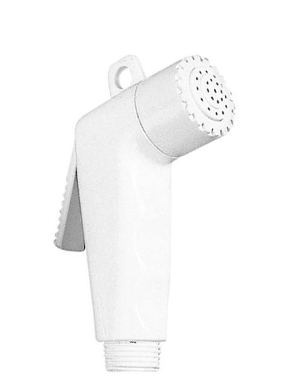 Shower Head Without Hose