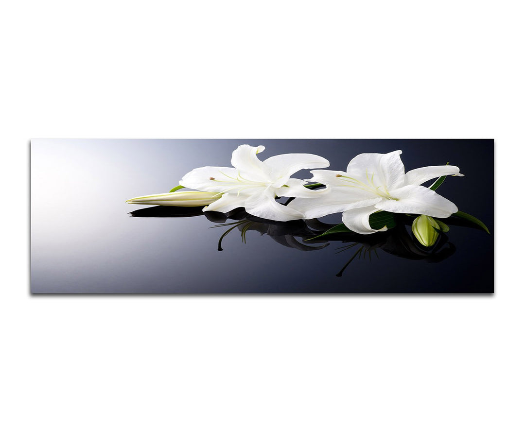 Paul Sinus Art Panoramabild auf Leinwand und Keilrahmen 150x50cm Lilien weiss Wasser Ruhe