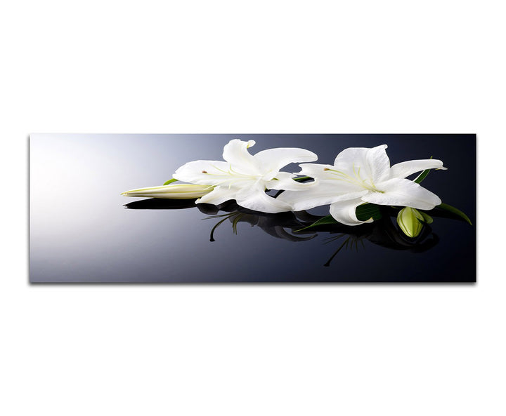 Paul Sinus Art Panoramabild auf Leinwand und Keilrahmen 150x50cm Lilien weiss Wasser Ruhe