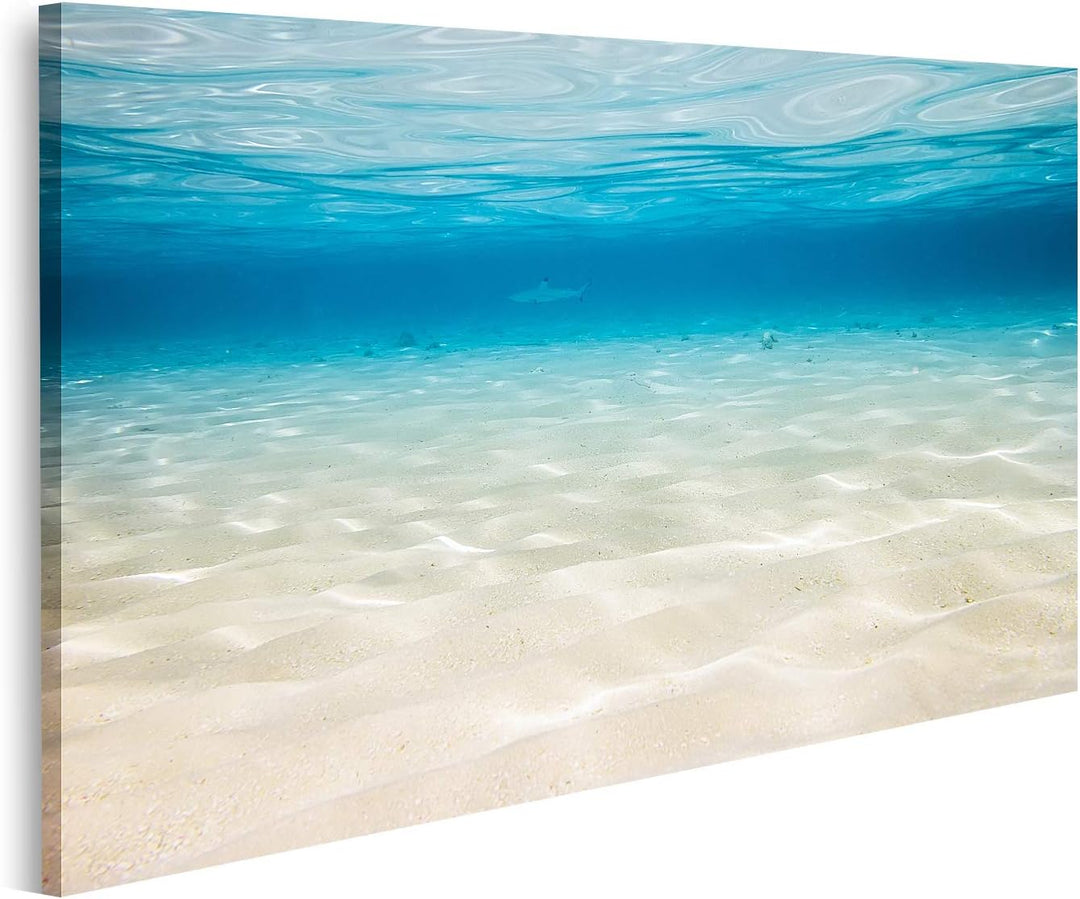 islandburner Bild auf Leinwand Unterwasserhintergrund Sandiger Meeresboden Bilder Wandbilder Poster