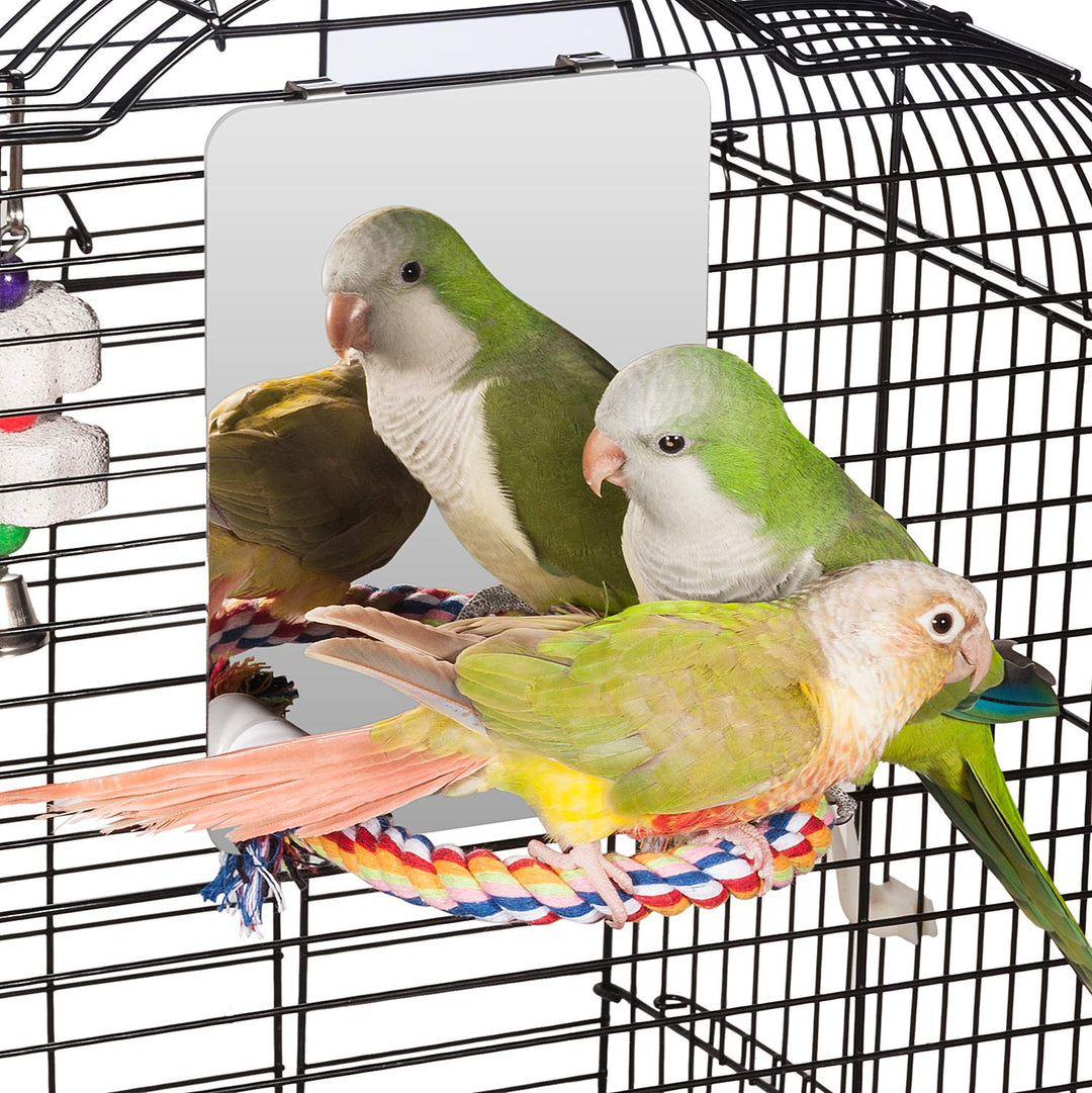 Colorday 18cm Edelstahl Vogel Spiegel mit Seil Perch, Vogelspielzeug (M) Medium, Medium