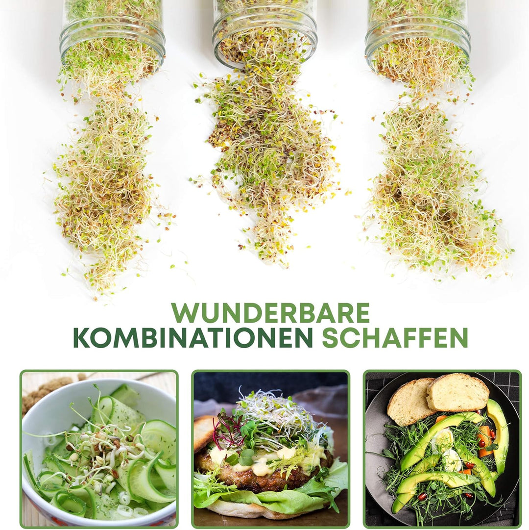 Cressery® Sprossenglas Keimglas 3er Set [grau] mit Deckel &amp; Sieb aus hochwertigem Edelstahl für Spro