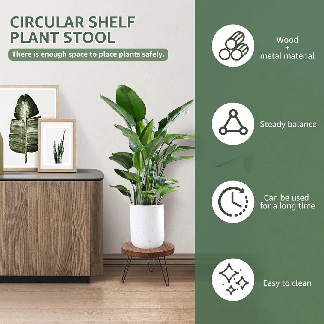 Pflanzenhocker Holz Modern 25cm Plantings Halter Kit Stall Robuste Mitte des Jahrhunderts Pflanzunge