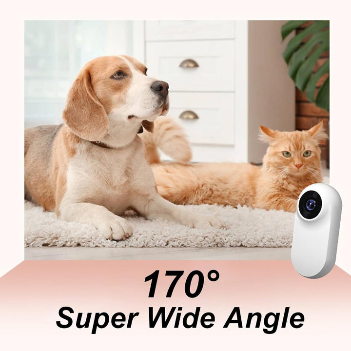 Haustierhalsband-Kamera,HD 1080P Katzen Kamera Halsband,170° Weitwinkel 0,96 Zoll LCD-Display,Multif