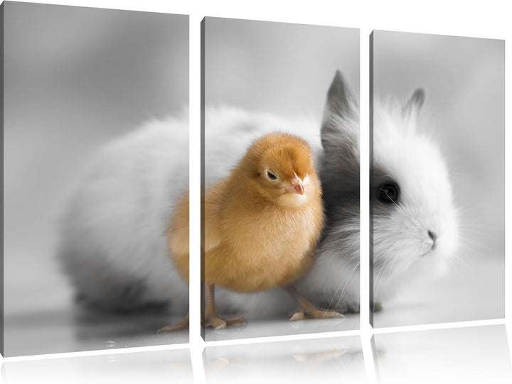 Pixxprint kleines Küken mit süssem Häschen B&W Detail 3-Teiler Leinwandbild 120x80 Bild auf Leinwand