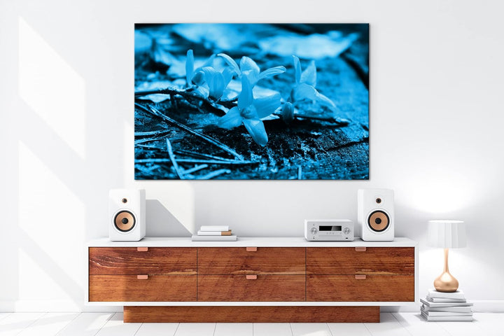 deyoli blühender Osterstrauch Format 60x40 Effekt: Monocrome Blau als Leinwandbild, Motiv fertig ger