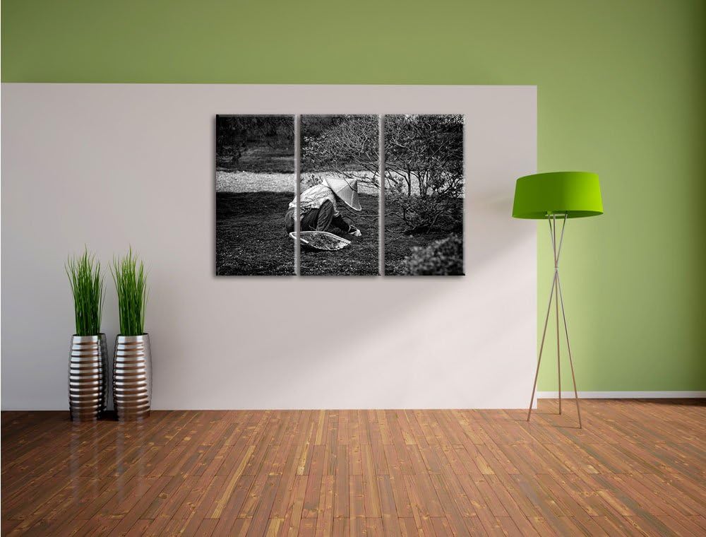 Pixxprint japanischer Gärtner bei der Arbeit als Leinwandbild/Grösse: 3 Teilig (120x80) / Wandbild/K