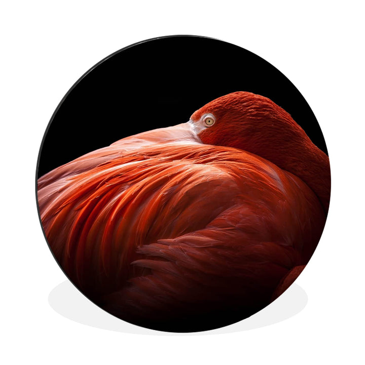 MuchoWow Wandbild Rund Wanddeko Deko Wohnzimmer Bilder 30x30 cm Flamingo - Federn - Rosa, 30x30 cm