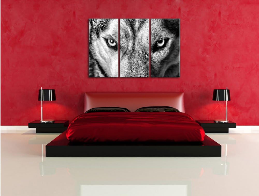 Pixxprint Husky eisblaue Augen als Leinwandbild/Grösse: 3 Teilig (120x80) cm/Wandbild/Kunstdruck/fer