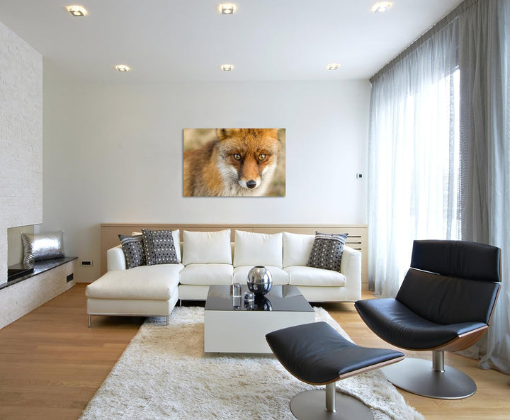 Paul Sinus Art Kunstfoto auf Leinwand 60x40cm Tierfotografie – Roter europäischer Fuchs auf Leinwand