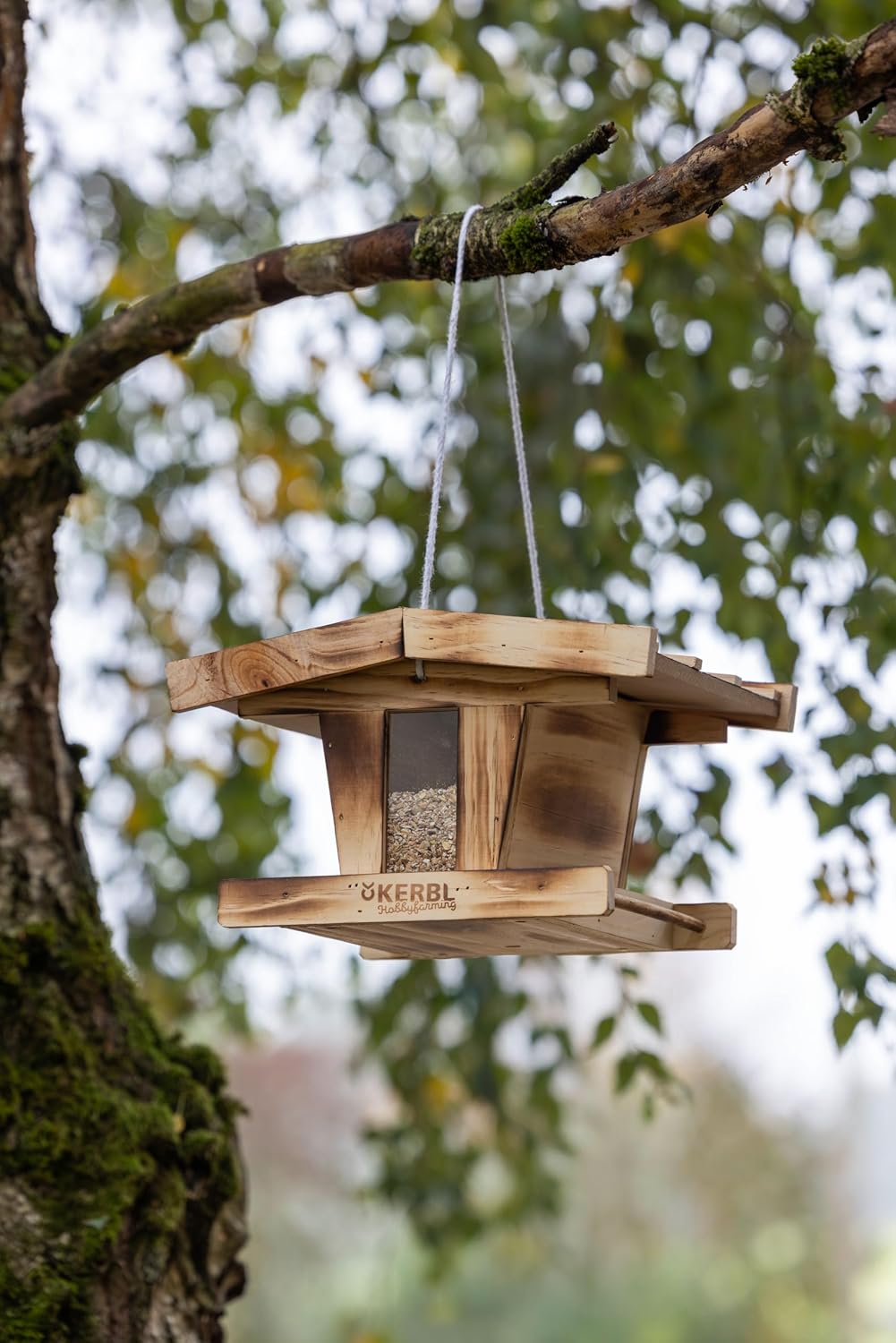 Kerbl Hobbyfarming Vogelfutterhaus, Aus Holz, Mit Glassichtfenster, Wetterfestem Dach, Robuste Korde