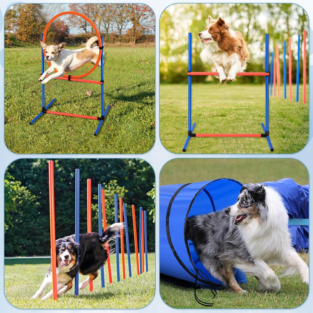 Agility Ausrüstungs Set für Hunde Agility Set mit 170CM Hundetunnel, Hindernisse mit Hundetunnel, 8