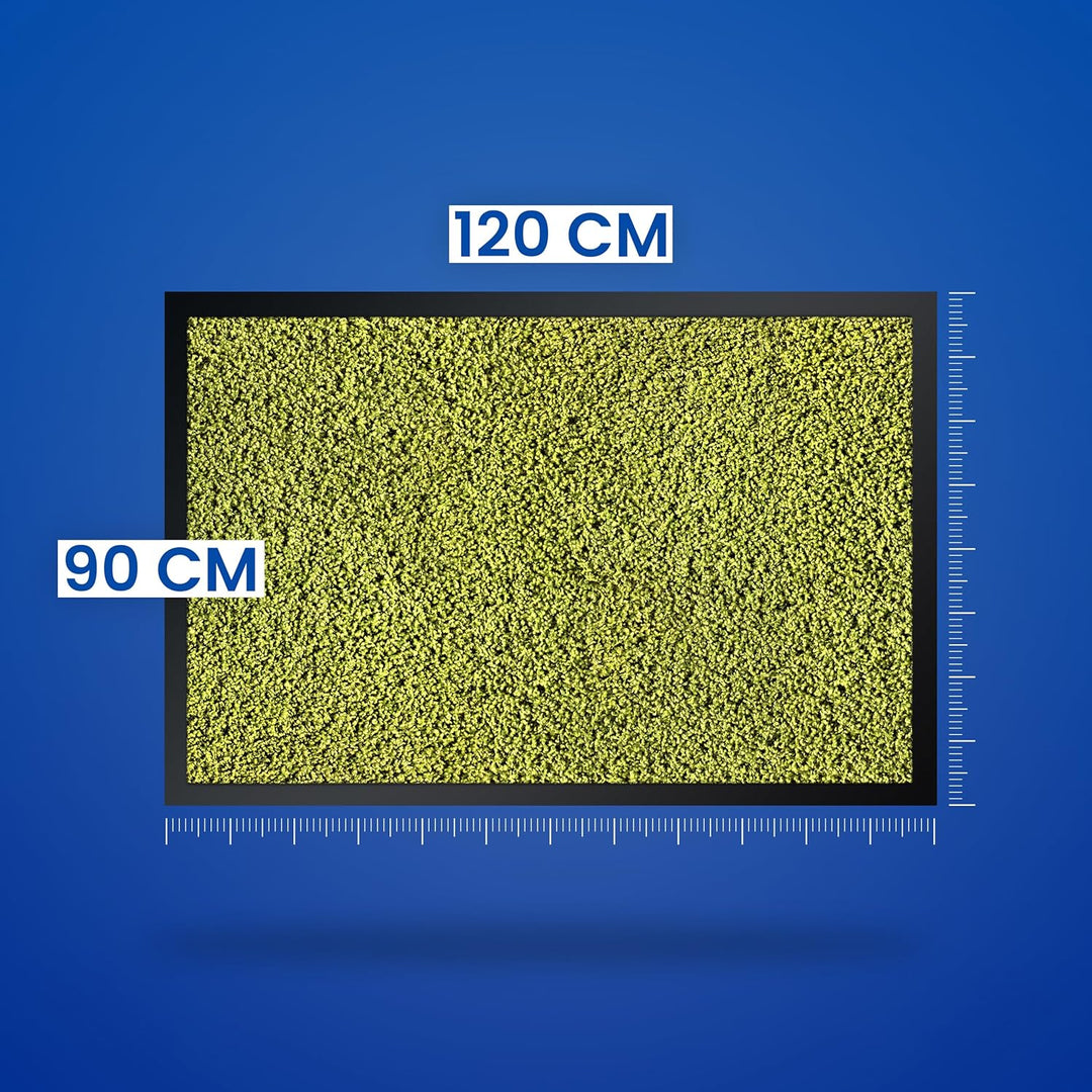 Hochwertige Fussmatte Grün 90x120 gross für Innen & Aussen - Schmutzfangmatte rutschfest, waschbar &