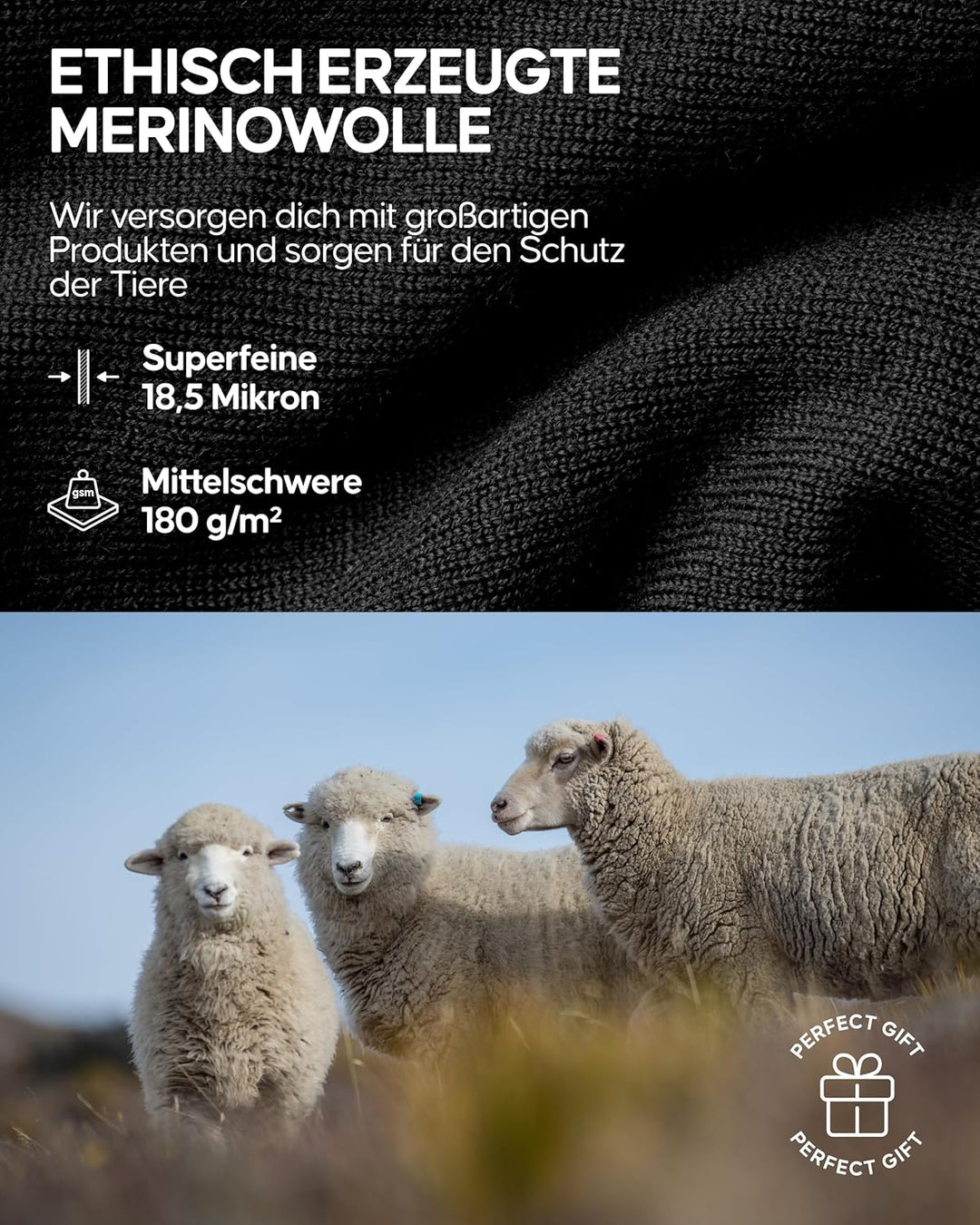 DANISH ENDURANCE Merino Thermounterhose Herren Lang, Premium Thermounterwäsche Herren, Funktionsunte