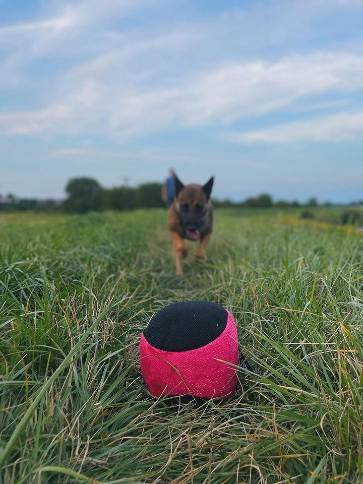 Dingo Gear Trainings-Spielzeug Bäll 19 cm Schwarz-Rosa mit Griff French-Material Nylcott Training Sp
