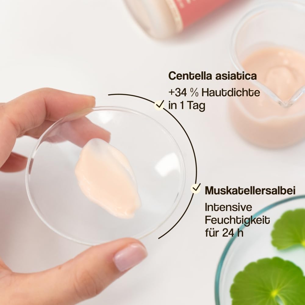 FRISCH MULTI-MOISTURIZER ANTIOXIDANT GESICHT