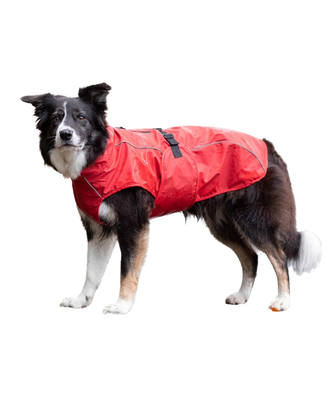 Trixie Regenmantel Vimy für Hunde rot XS - Bauchumfang: 20-39 cm – Hunde-Regenjacke mit reflektieren