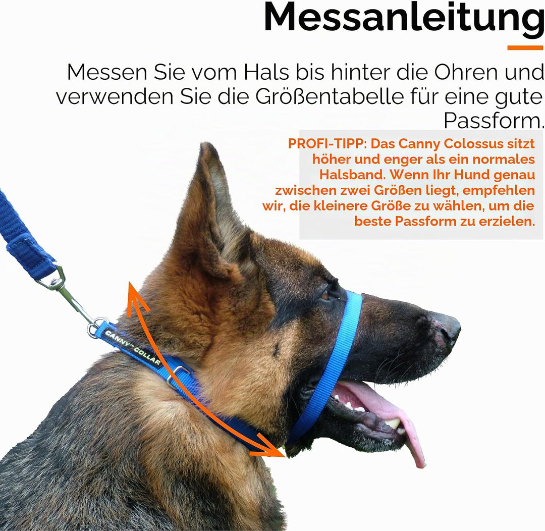 Canny Halsband – The Canny Colossus Hundehalsband für grosse Hunderassen, einfache und effektive Hil