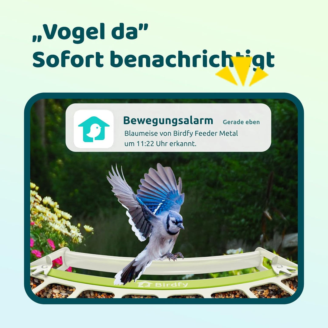 Birdfy Metall Vogelfutterhaus mit Kamera zur Live-Vogelbeobachtung, KI Vogelerkennung ohne ABO, 1080