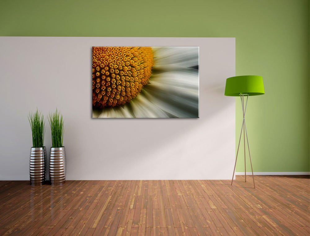 Pixxprint anmutige Margerite auf Leinwand, XXL riesige Bilder fertig gerahmt mit Keilrahmen, Kunstdr