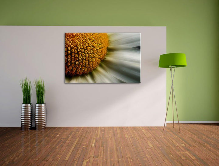 Pixxprint anmutige Margerite auf Leinwand, XXL riesige Bilder fertig gerahmt mit Keilrahmen, Kunstdr